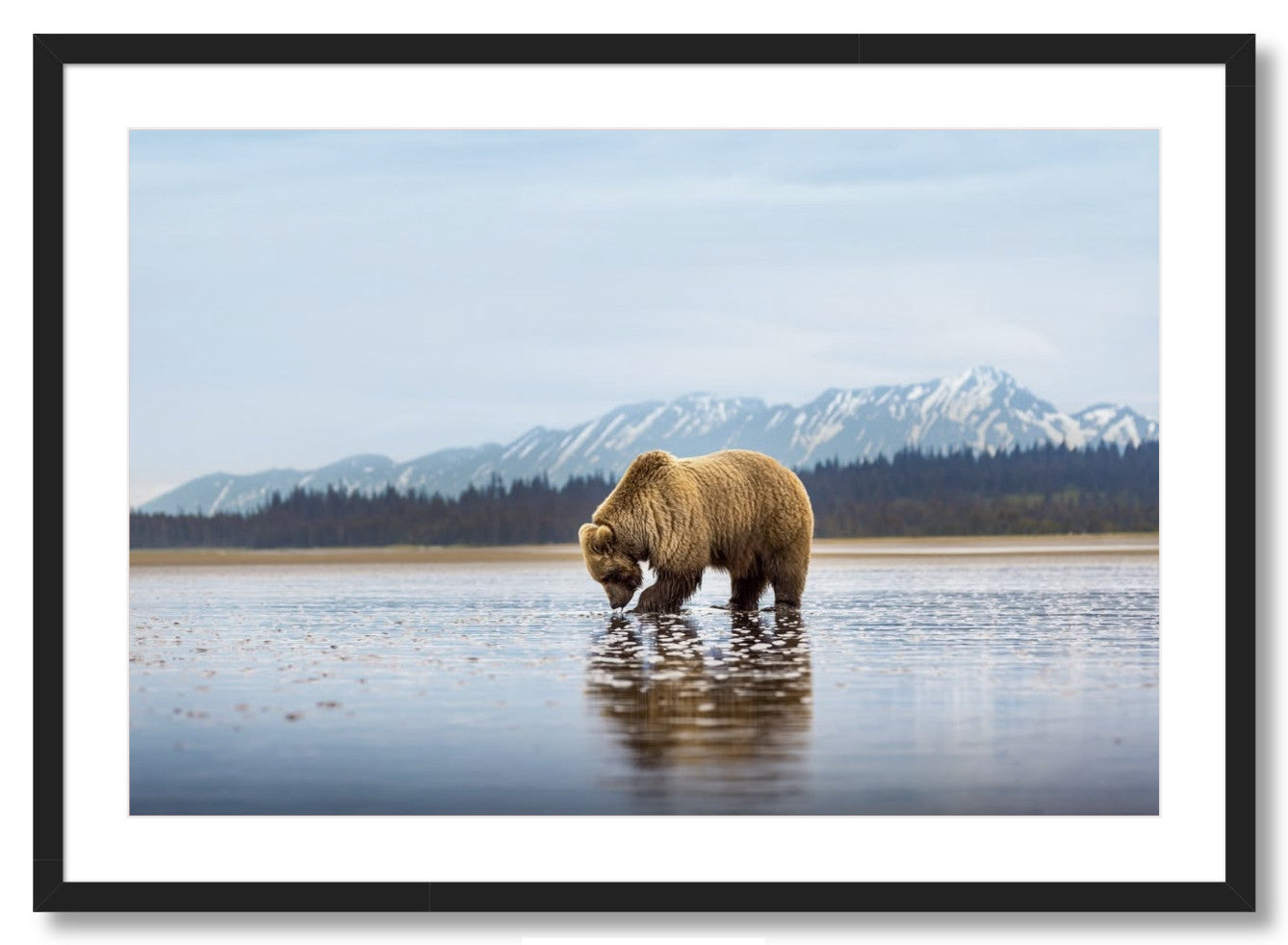 "Digging for Clams"