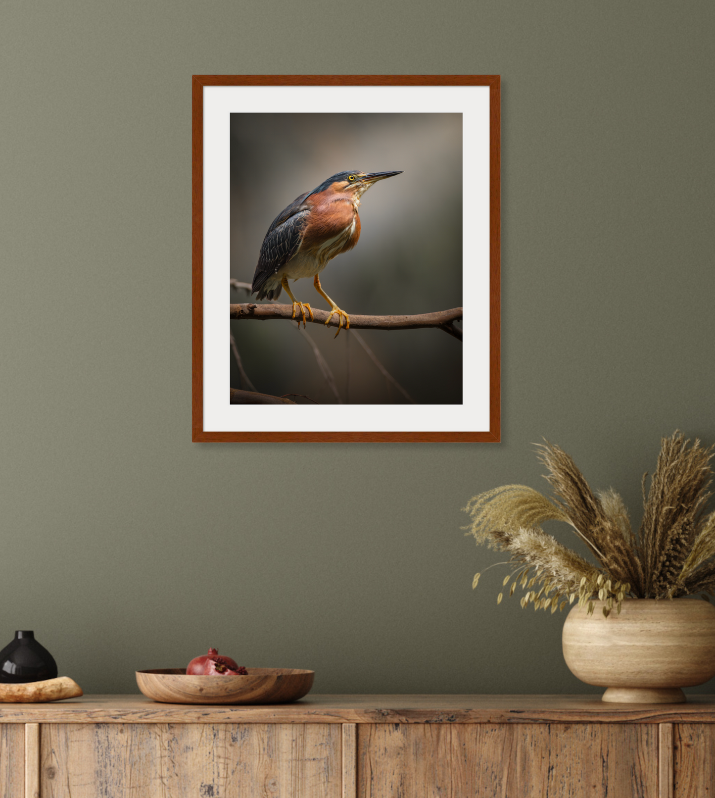 Green Heron Glamour Shot