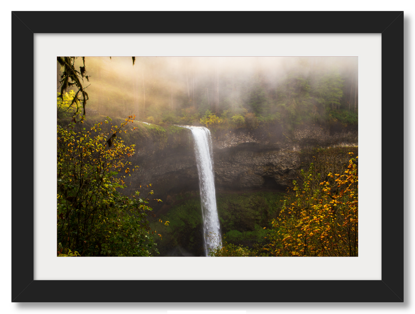 - Cascades Aglow -