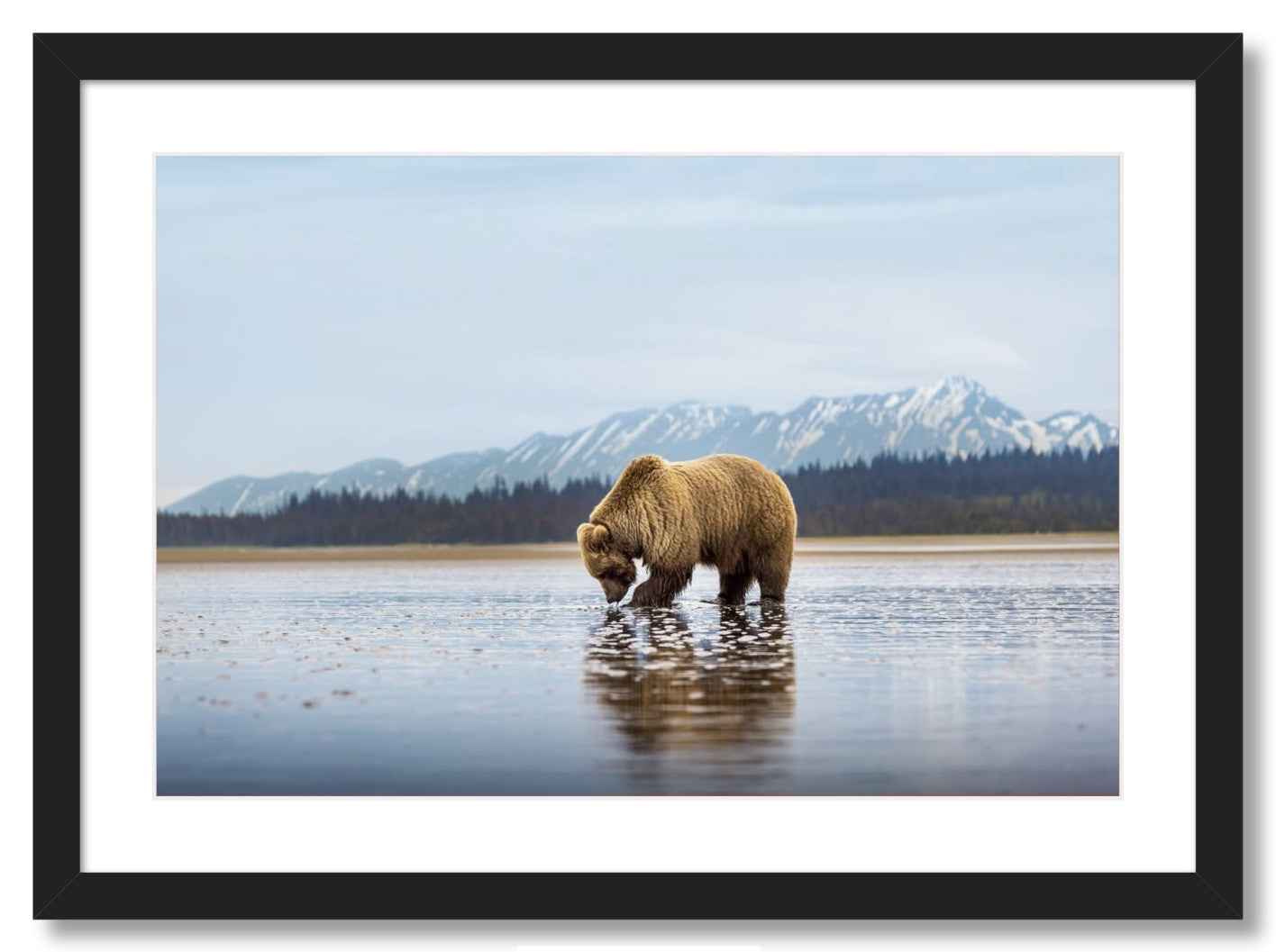 "Digging for Clams"