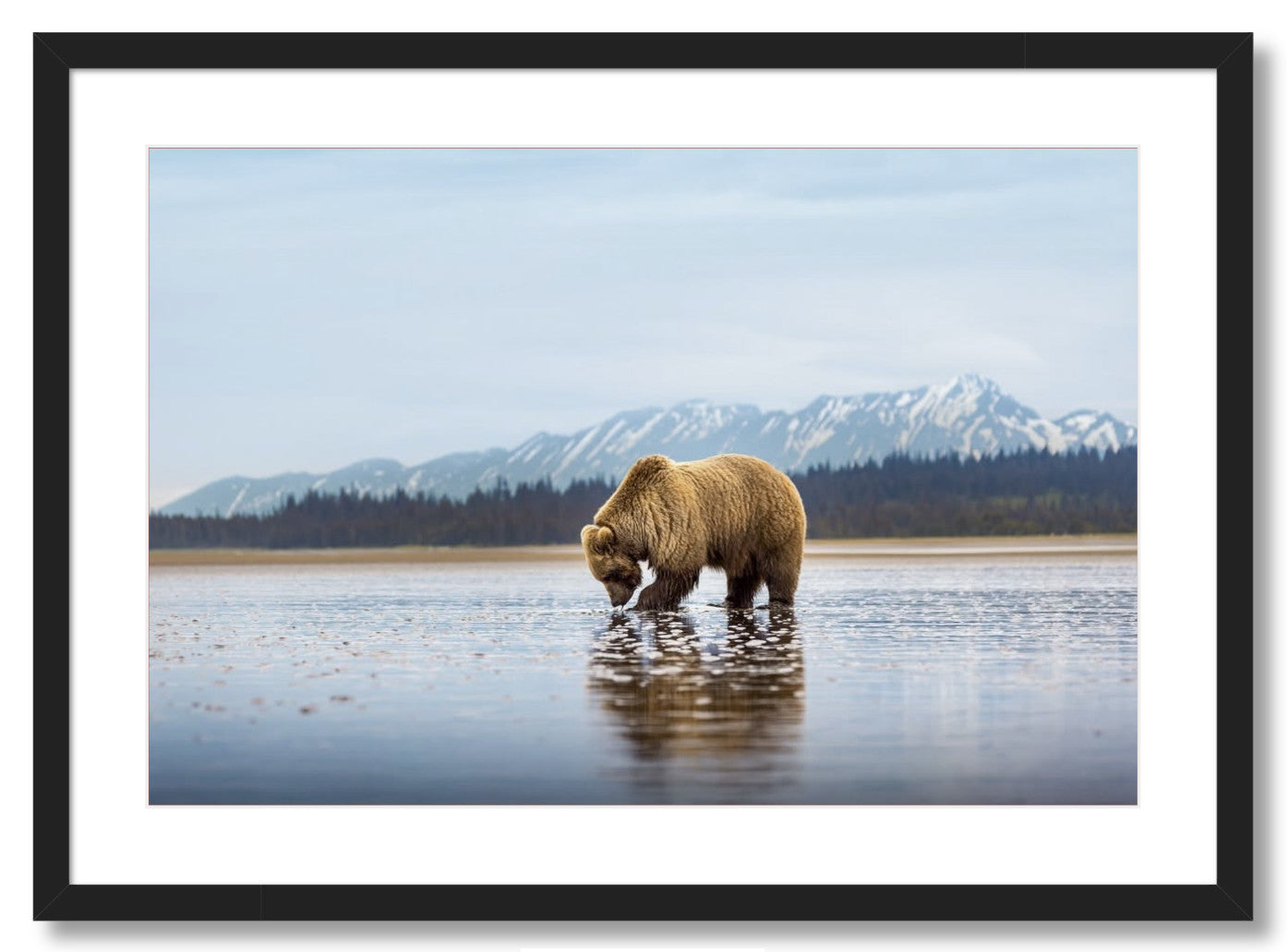 "Digging for Clams"