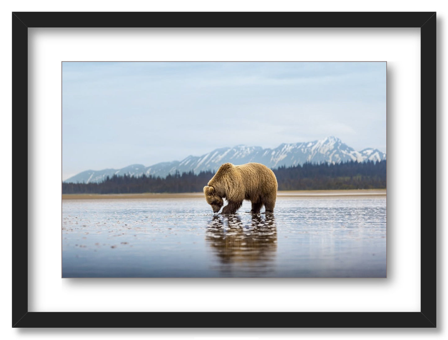 "Digging for Clams"