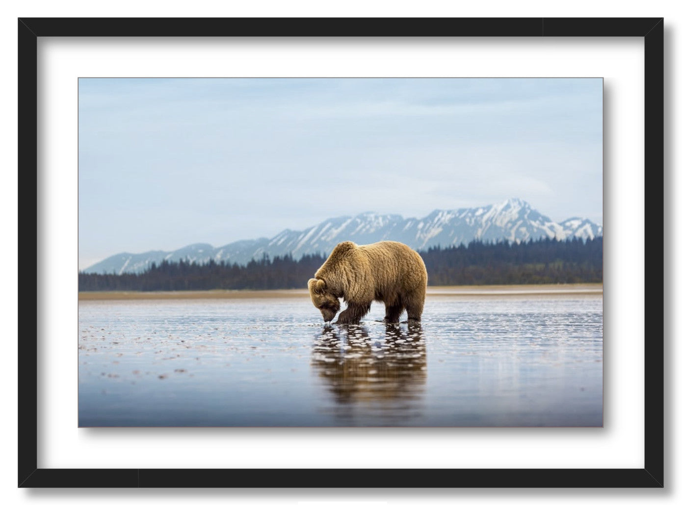 "Digging for Clams"
