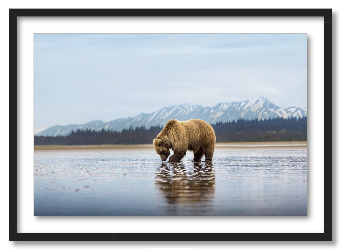 "Digging for Clams"