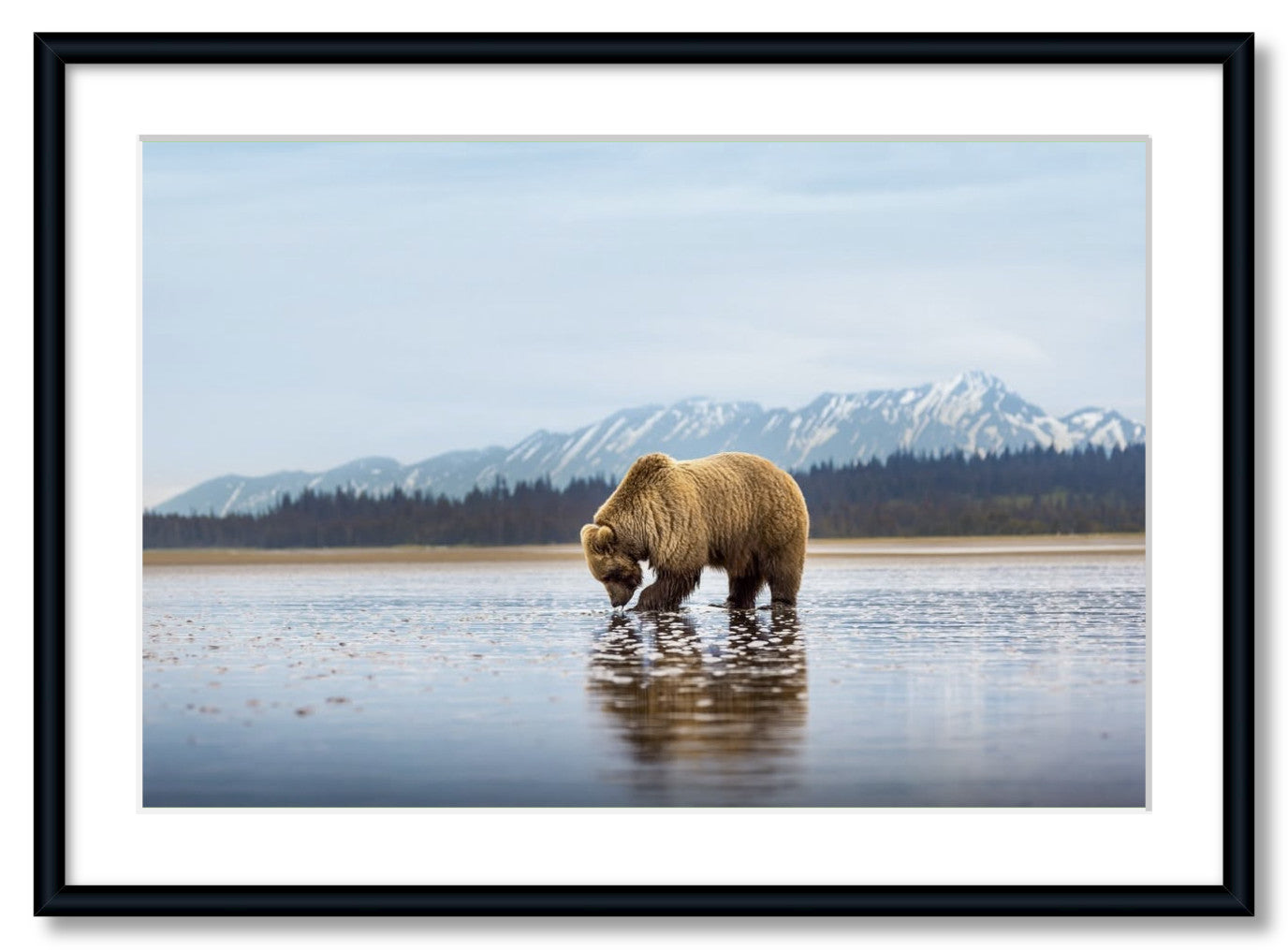 "Digging for Clams"