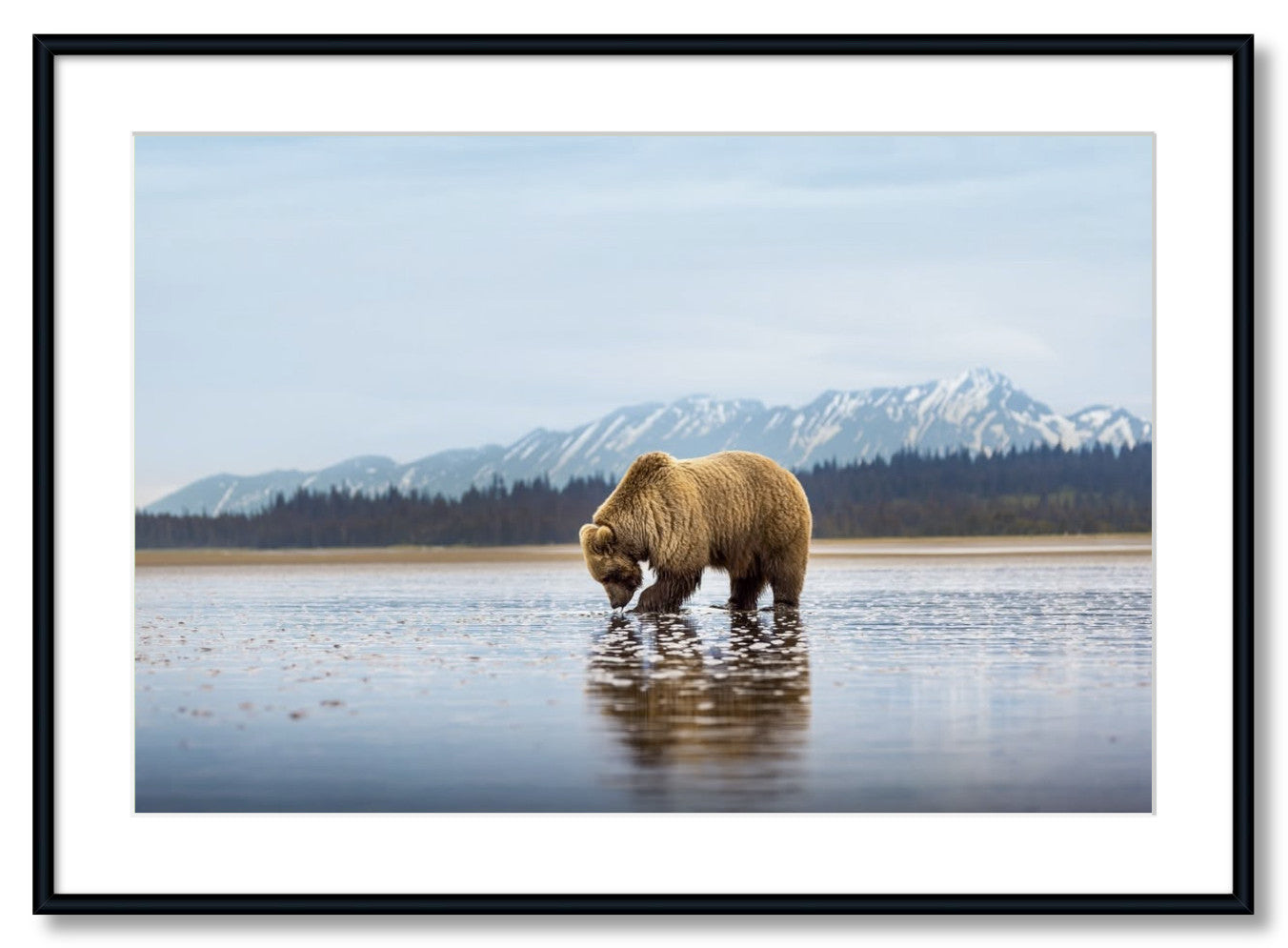"Digging for Clams"