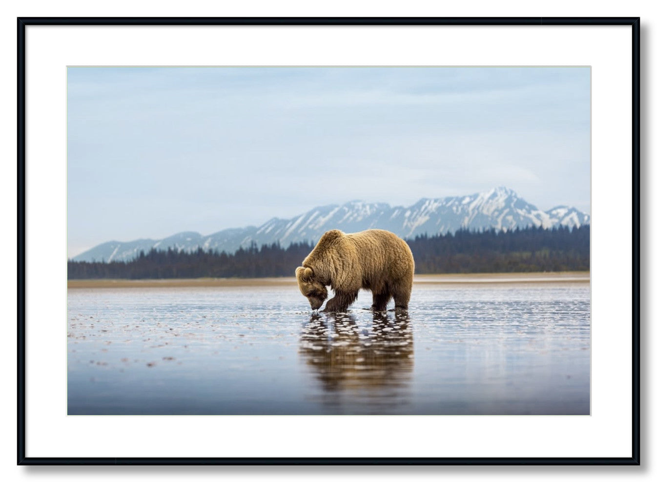 "Digging for Clams"