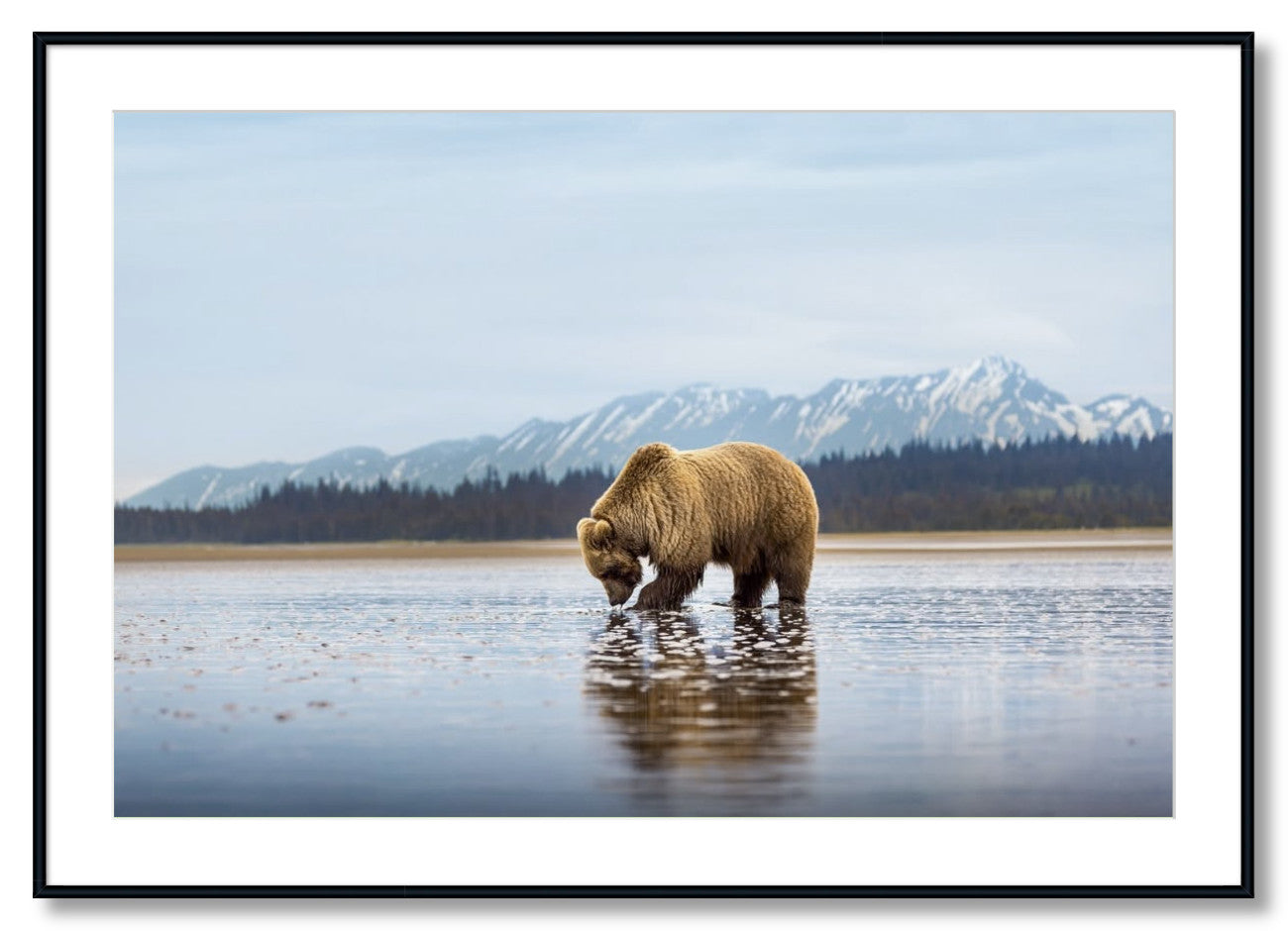 "Digging for Clams"