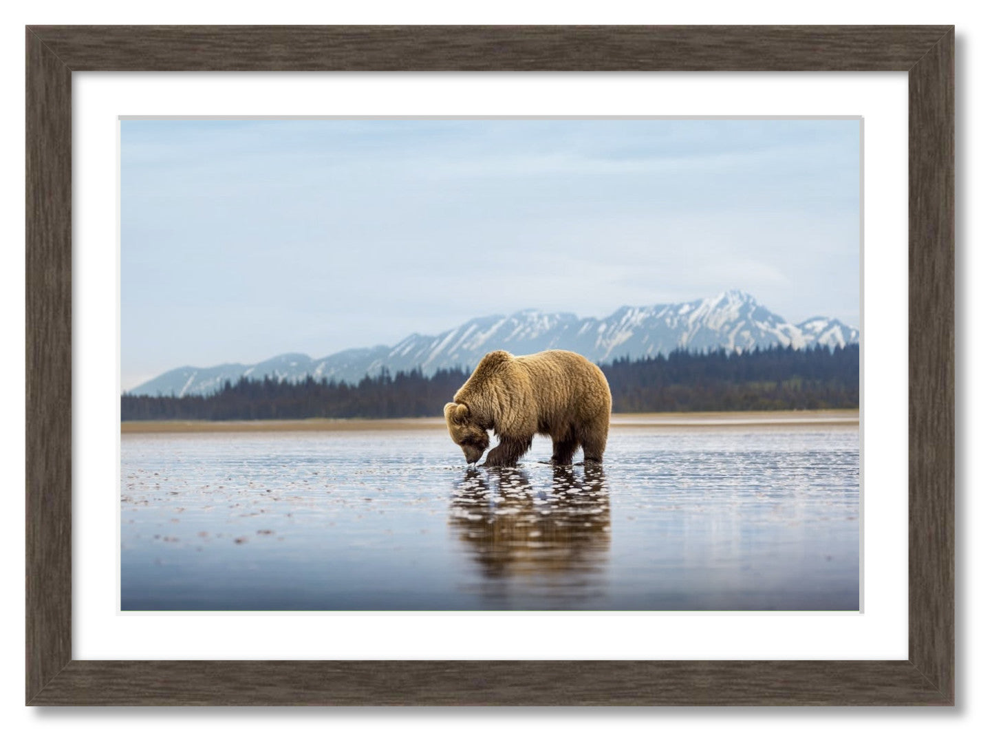"Digging for Clams"