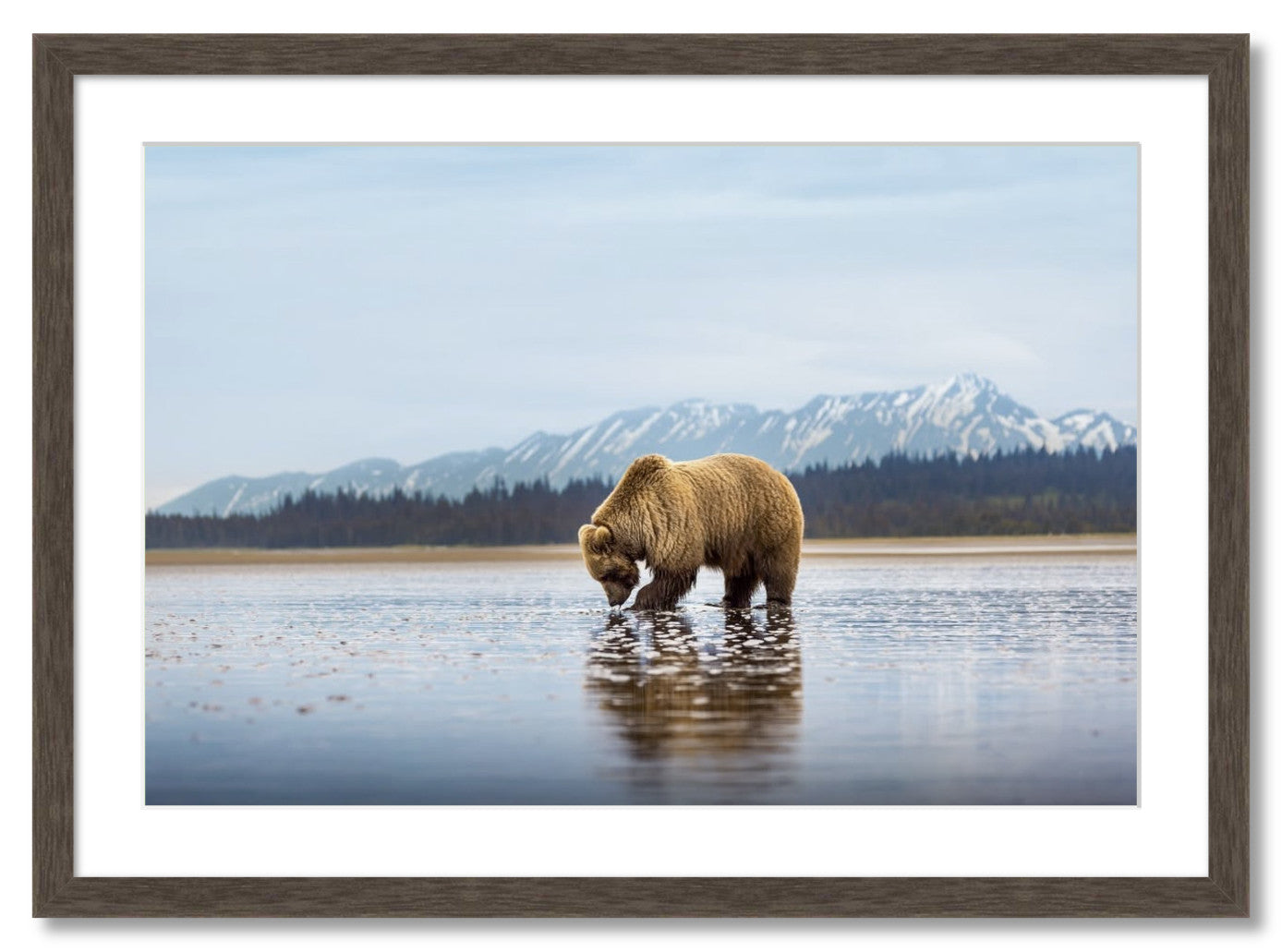 "Digging for Clams"
