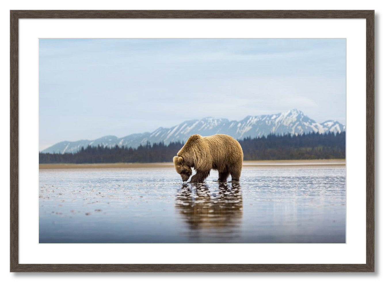 "Digging for Clams"