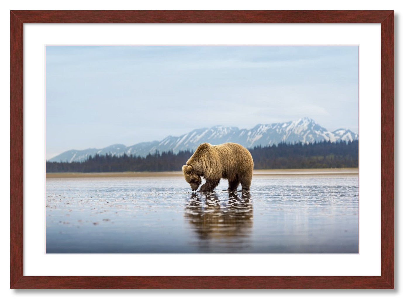 "Digging for Clams"