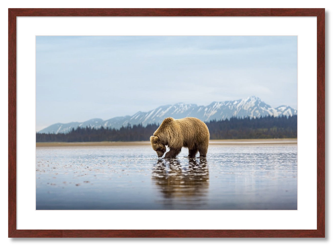 "Digging for Clams"