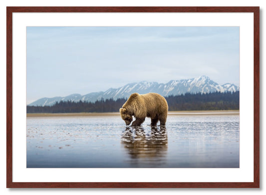"Digging for Clams"
