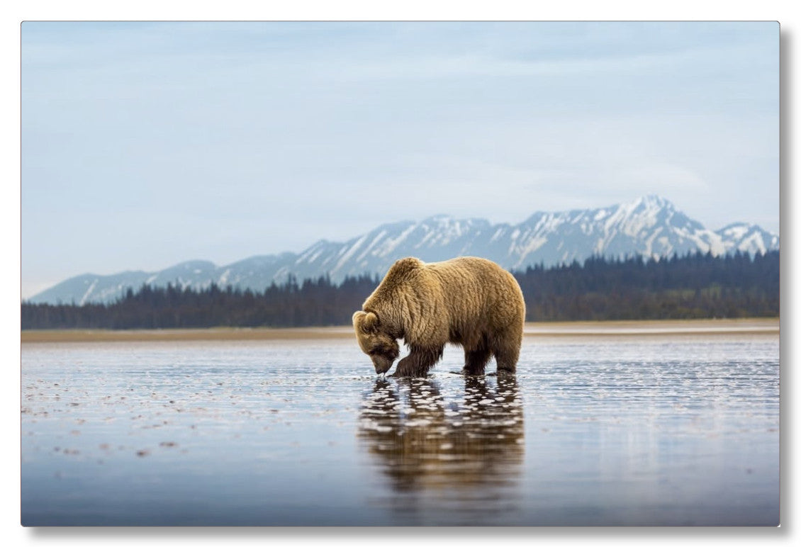 "Digging for Clams"