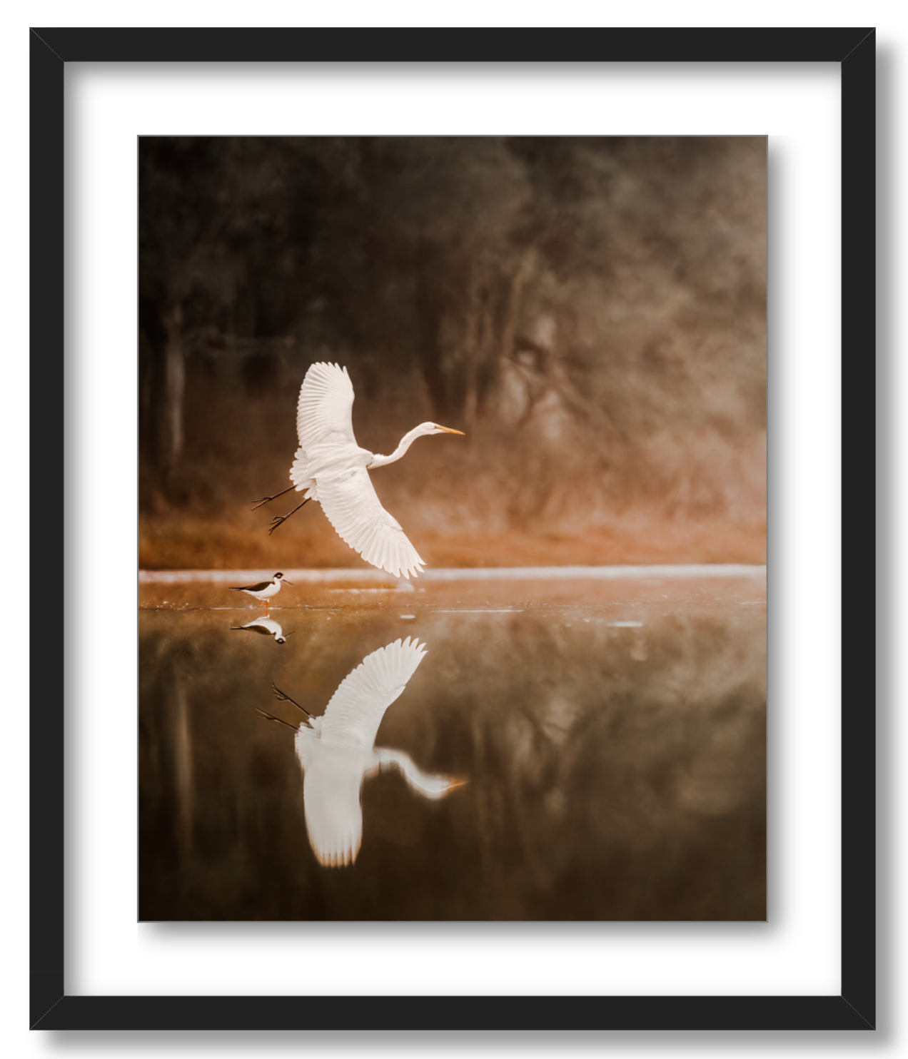 'Egret in Flight'