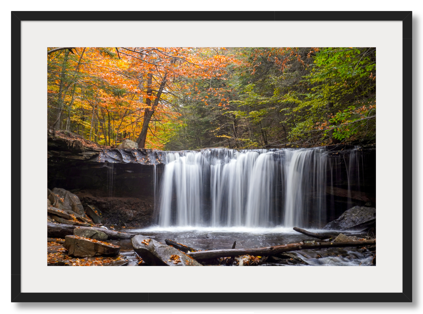 Flashes of Fall