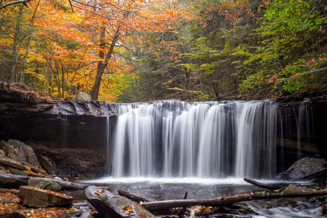 Flashes of Fall