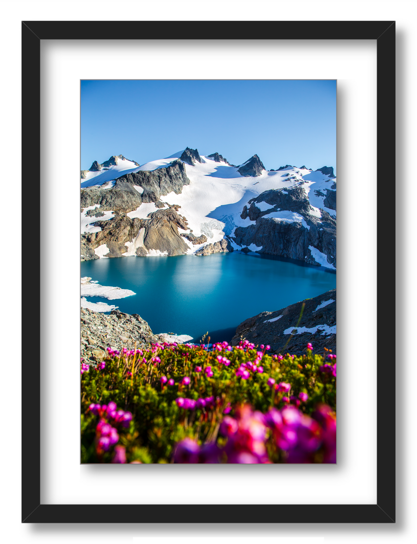 Glacial Lake Wildflowers