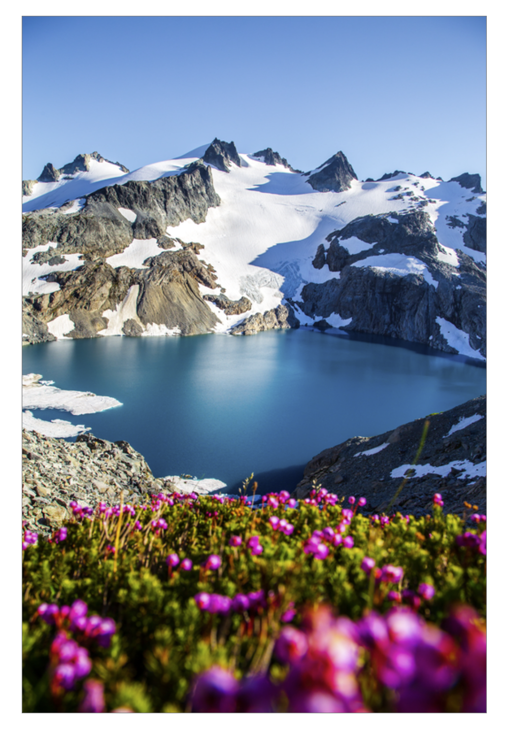 Glacial Lake Wildflowers