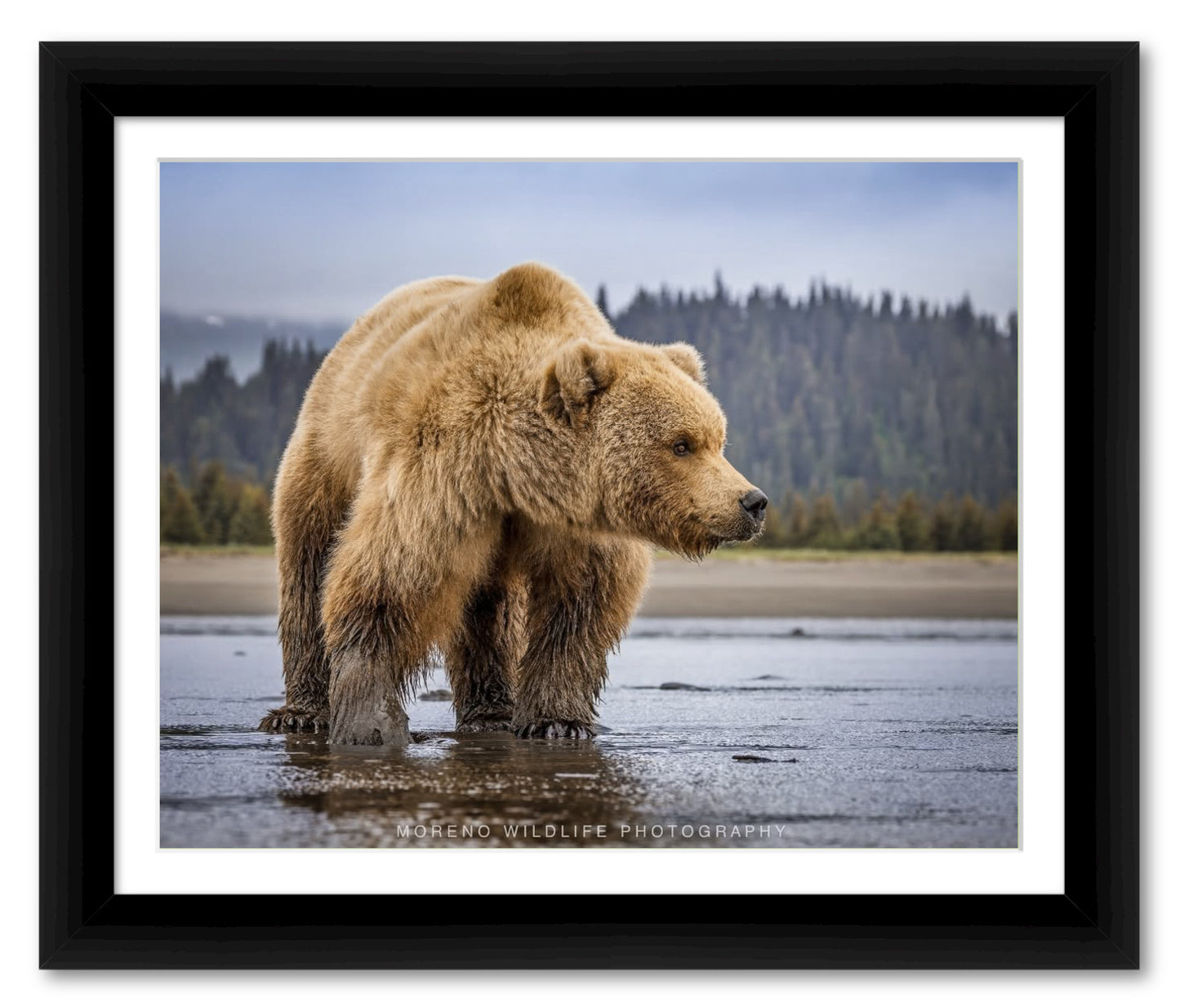 "Lake Clark Close Up"