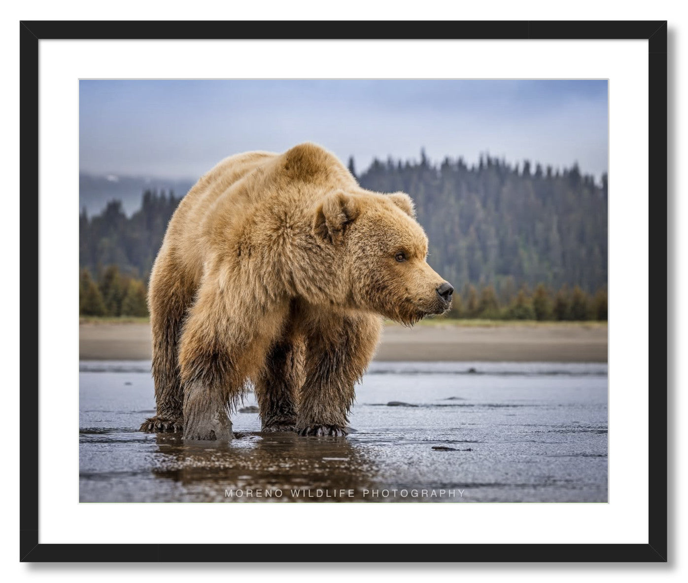 "Lake Clark Close Up"