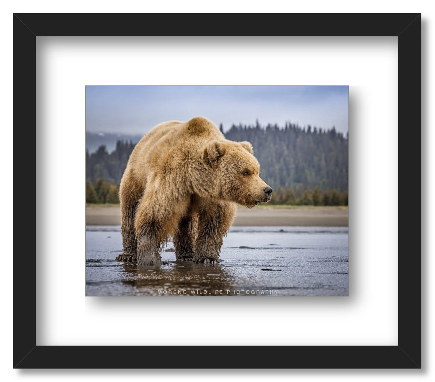 "Lake Clark Close Up"