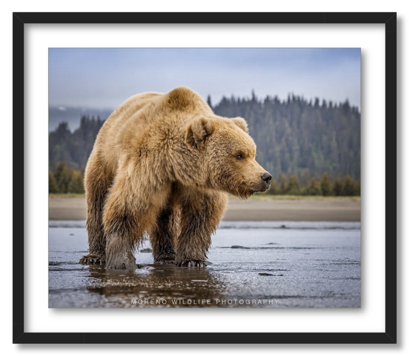 "Lake Clark Close Up"