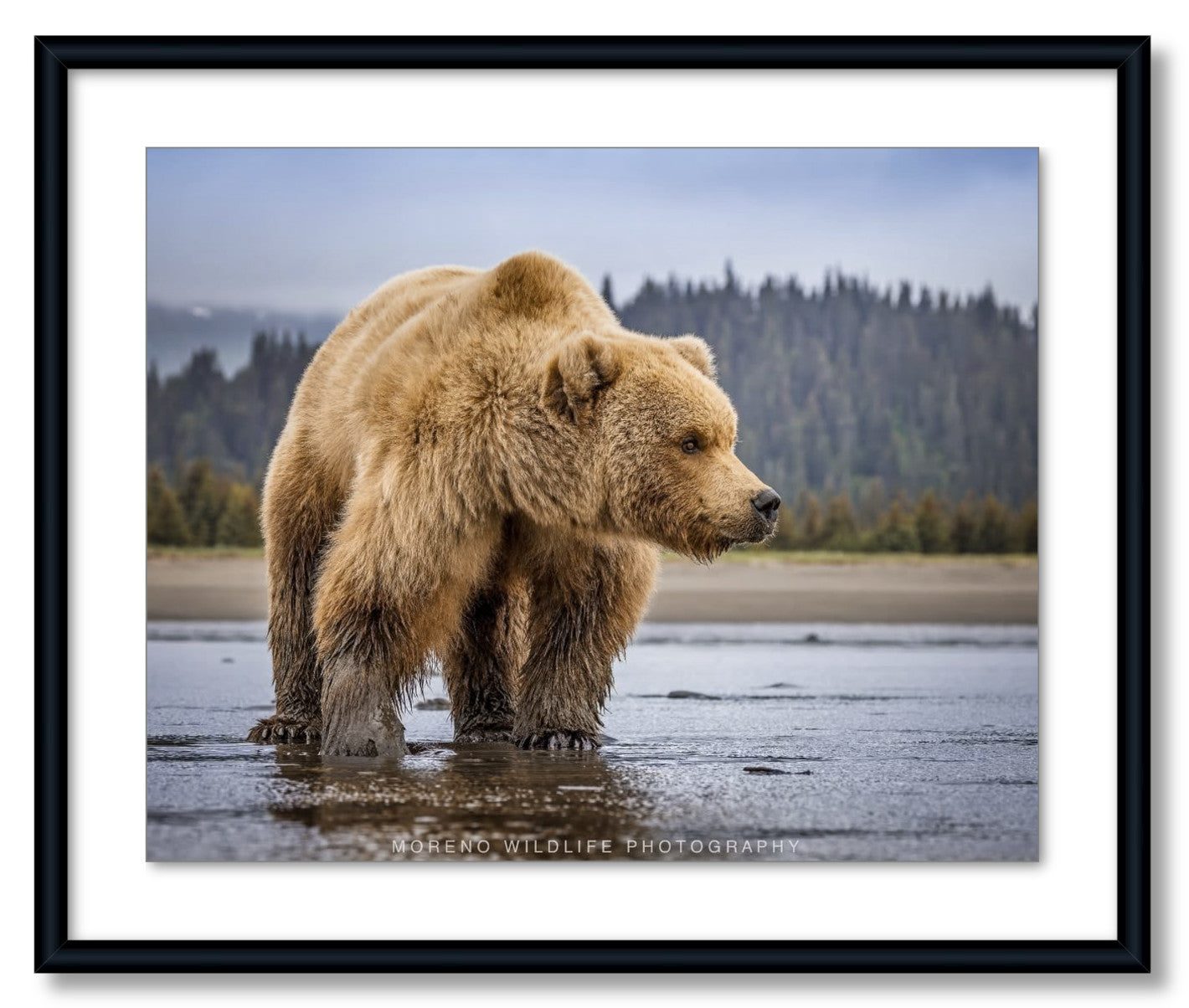 "Lake Clark Close Up"