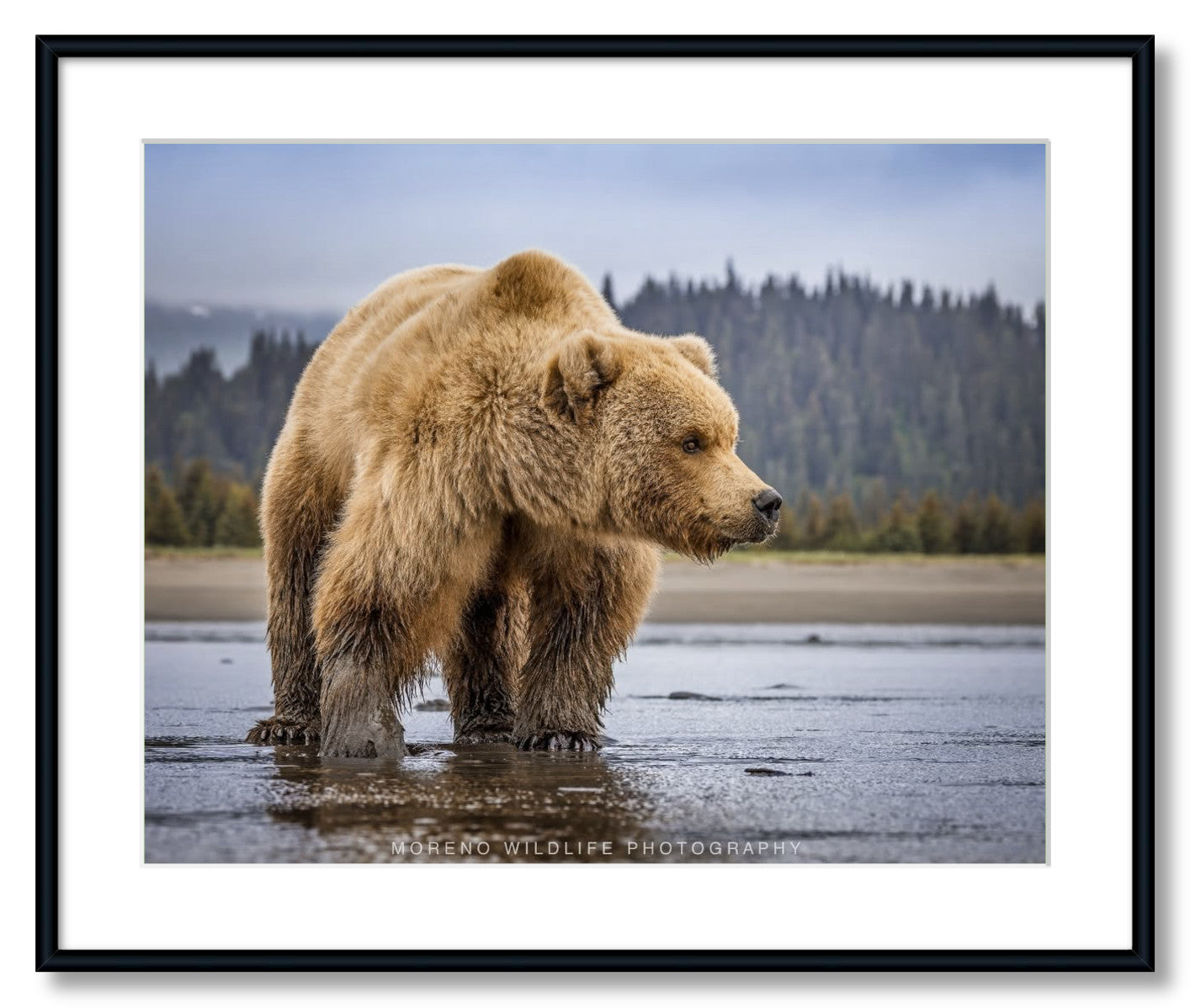 "Lake Clark Close Up"