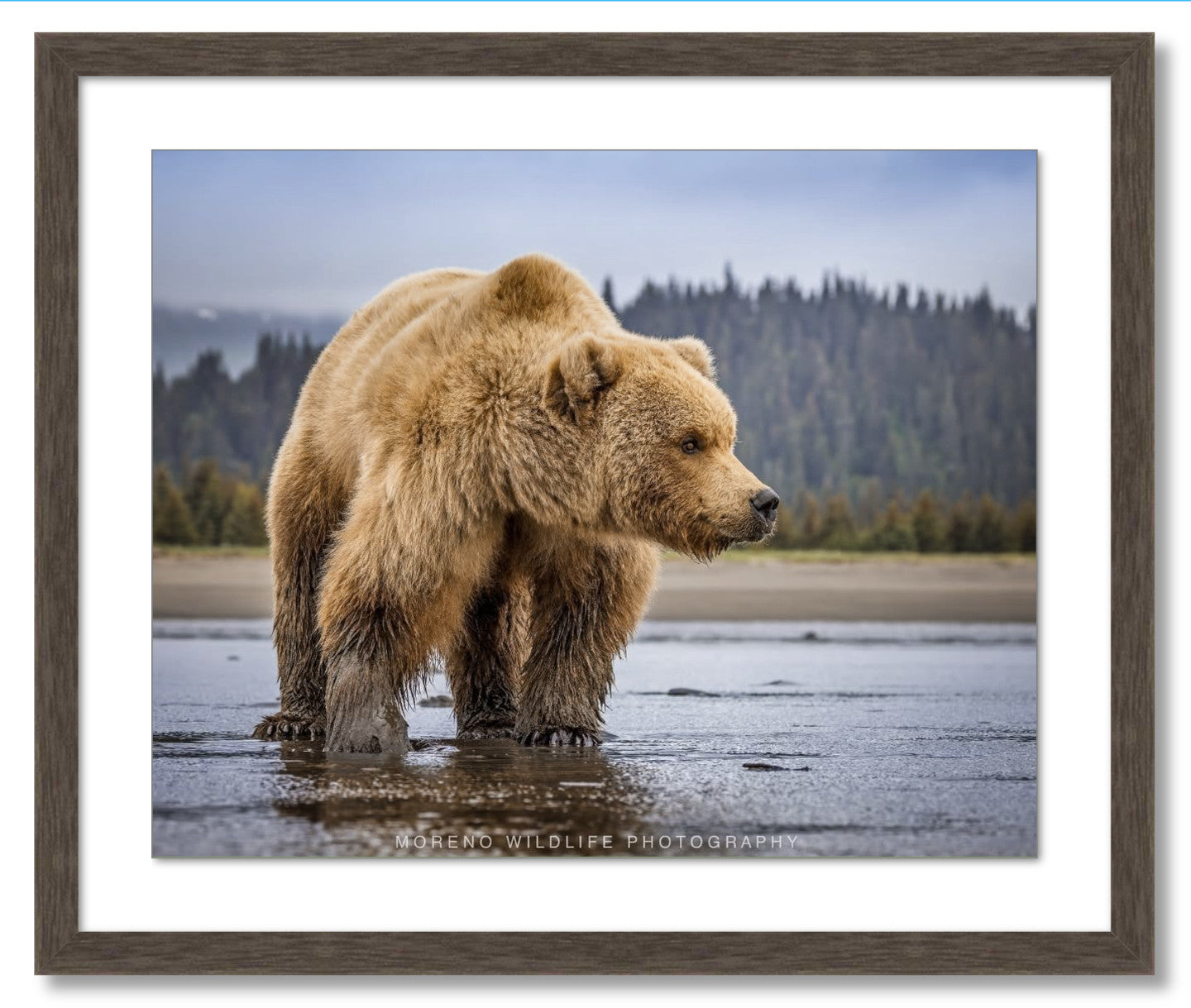 "Lake Clark Close Up"