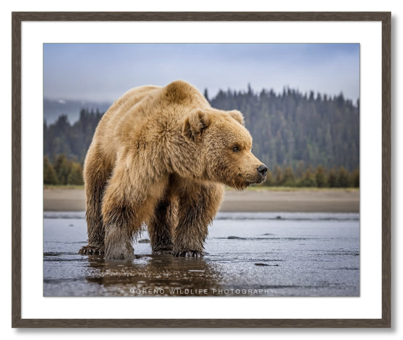 "Lake Clark Close Up"