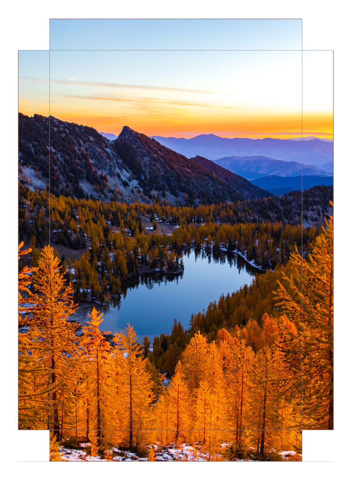 - Larch Haven -