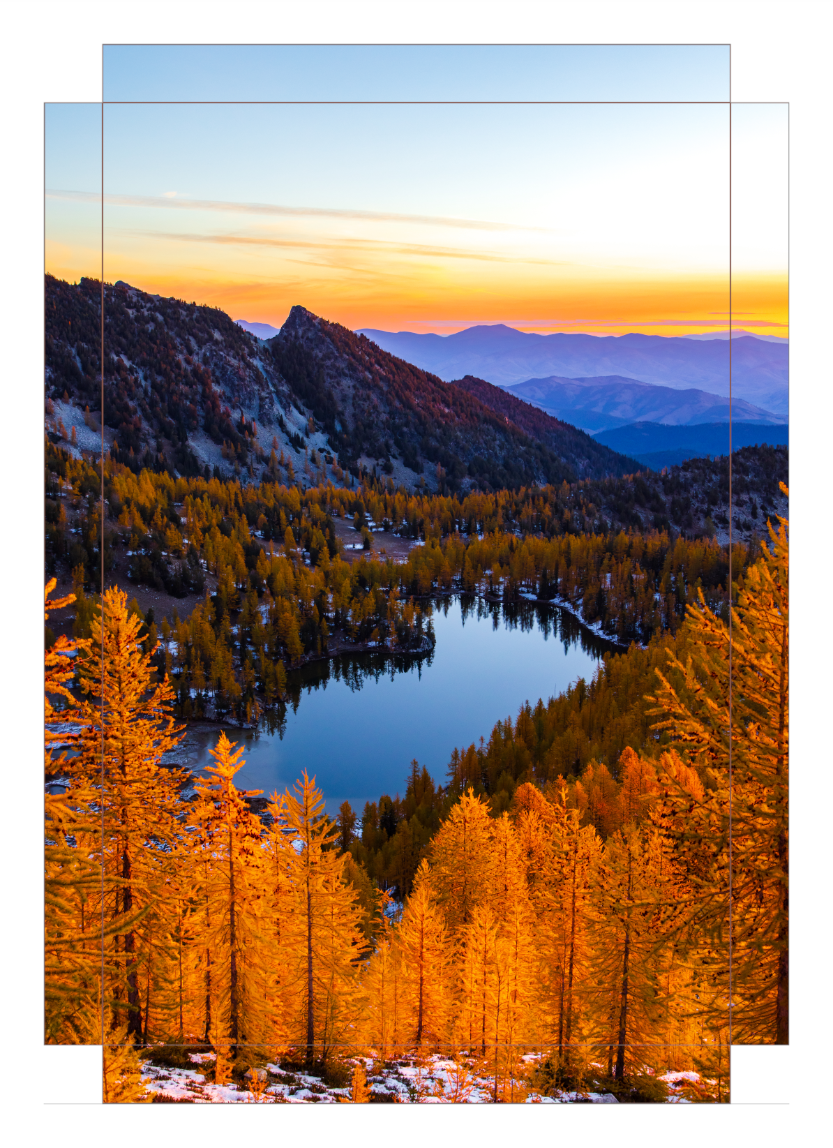 - Larch Haven -