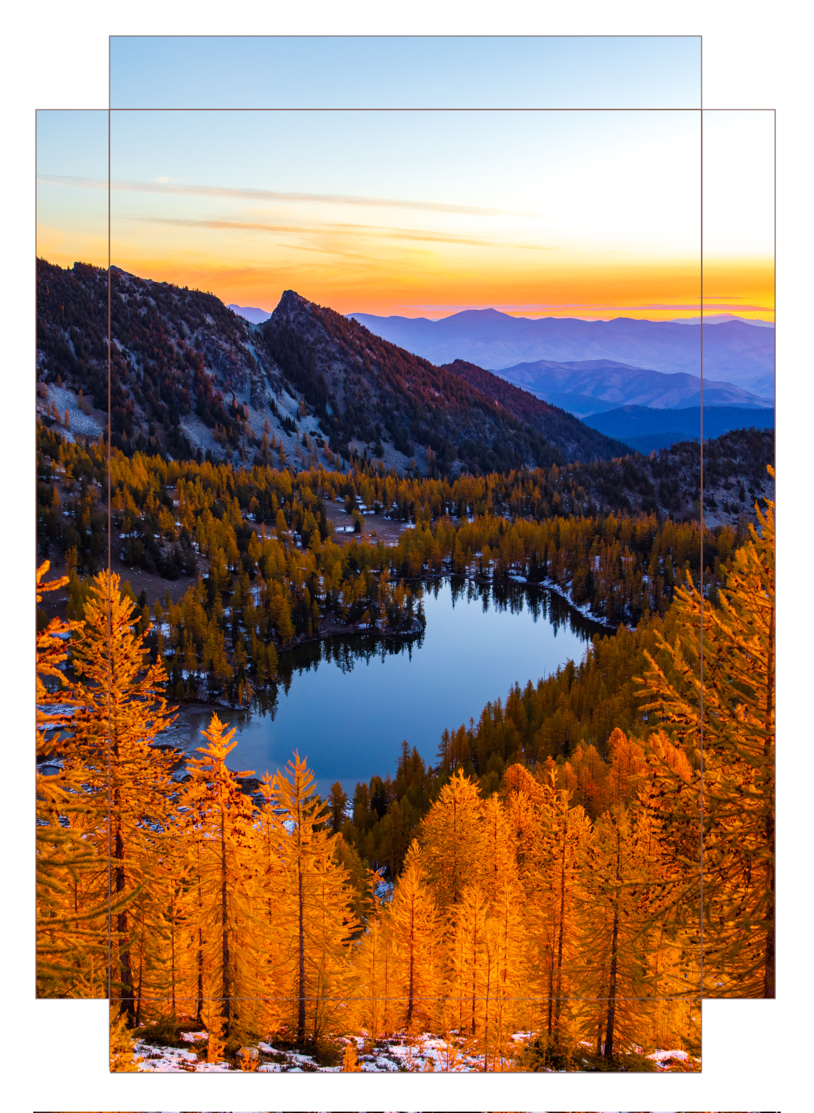 - Larch Haven -