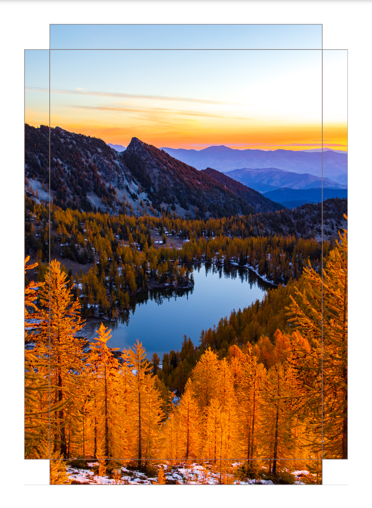 - Larch Haven -