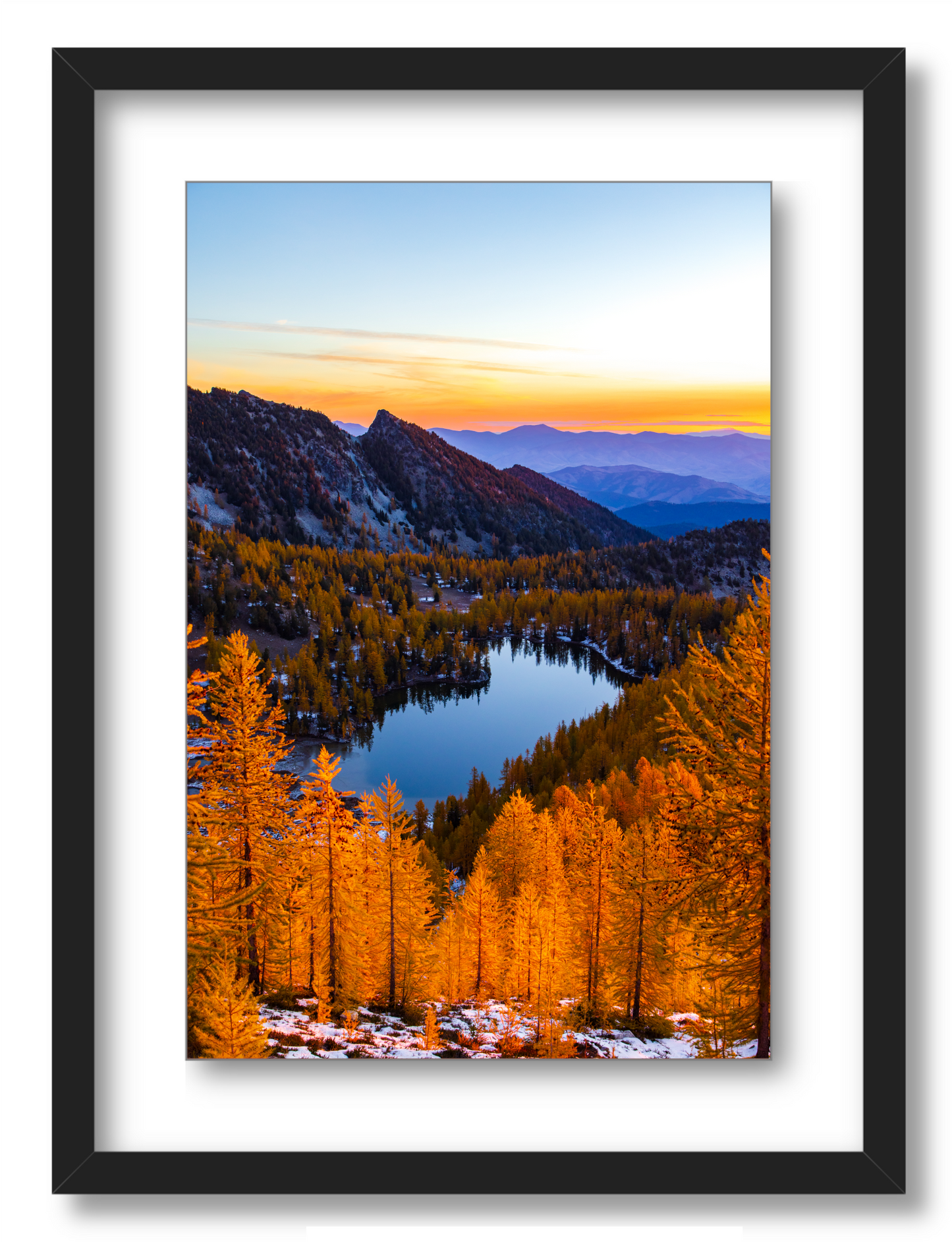 - Larch Haven -