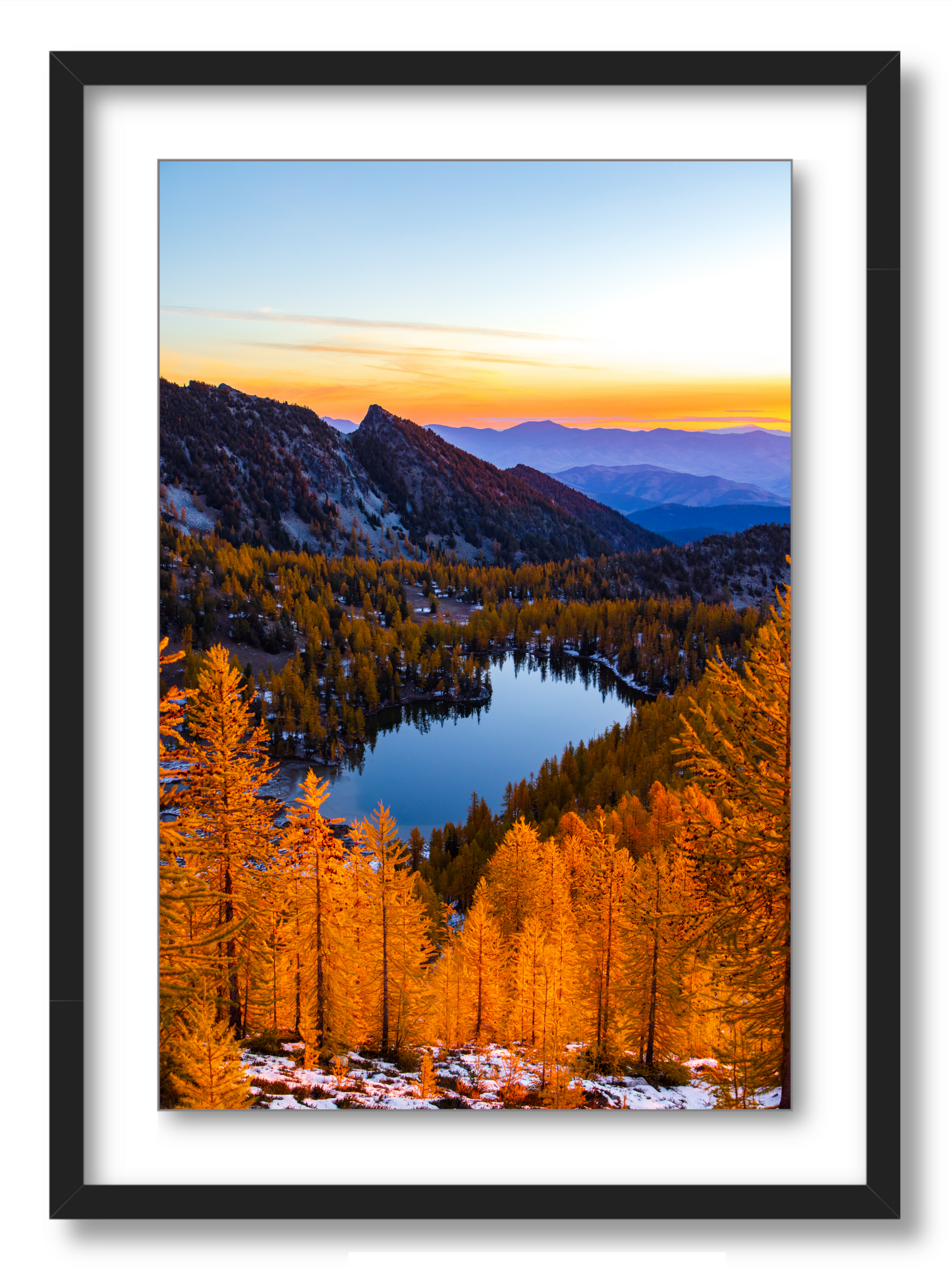 - Larch Haven -