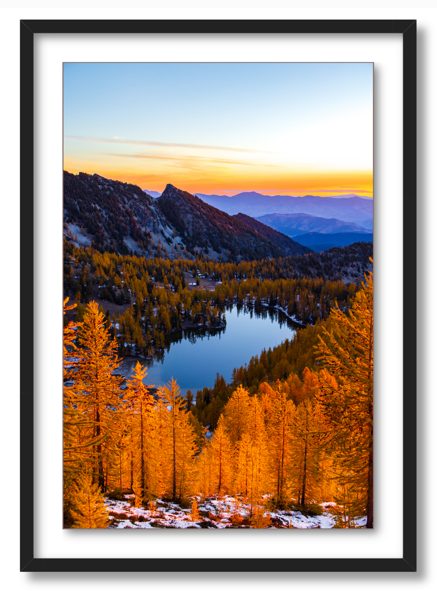 - Larch Haven -