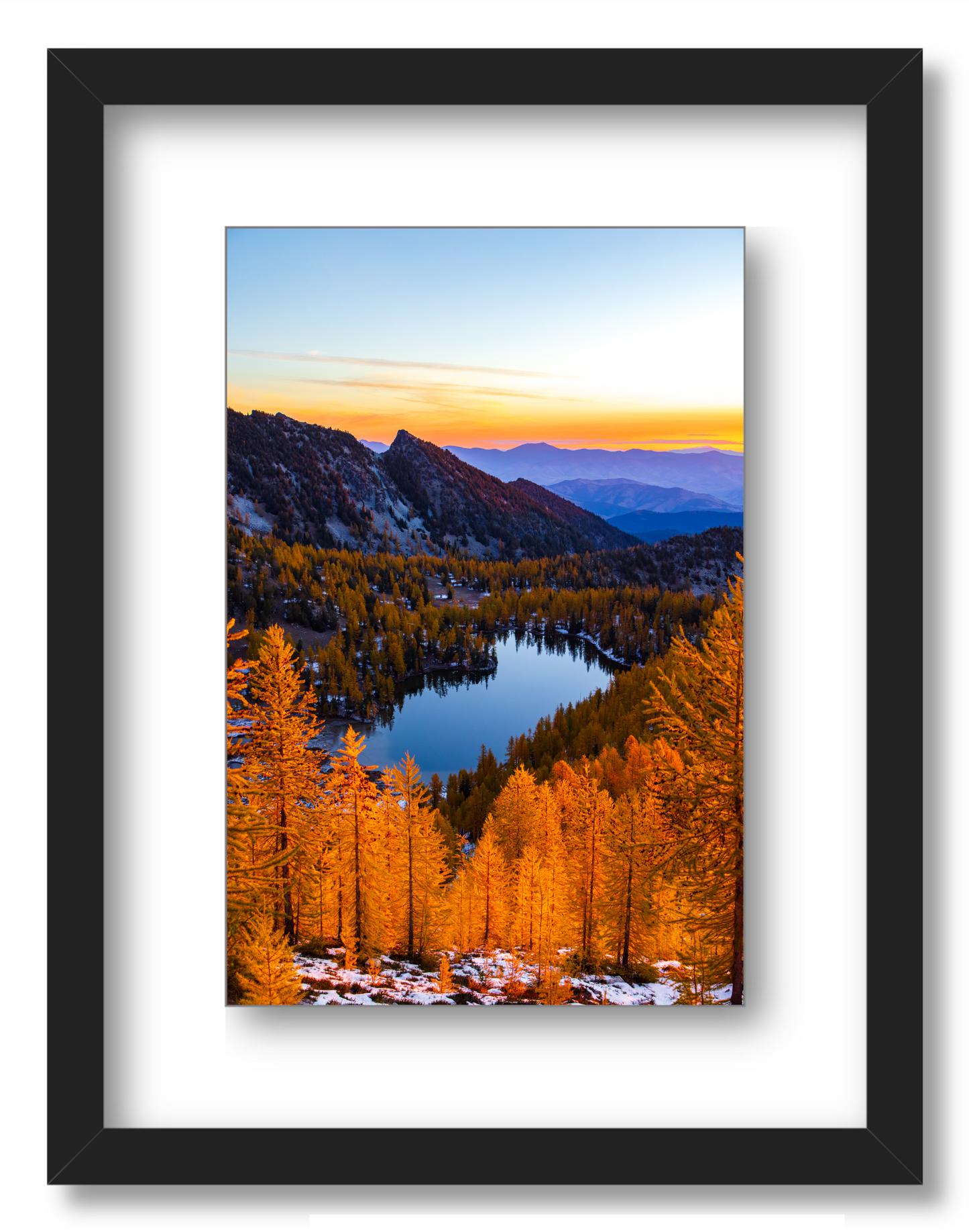 - Larch Haven -