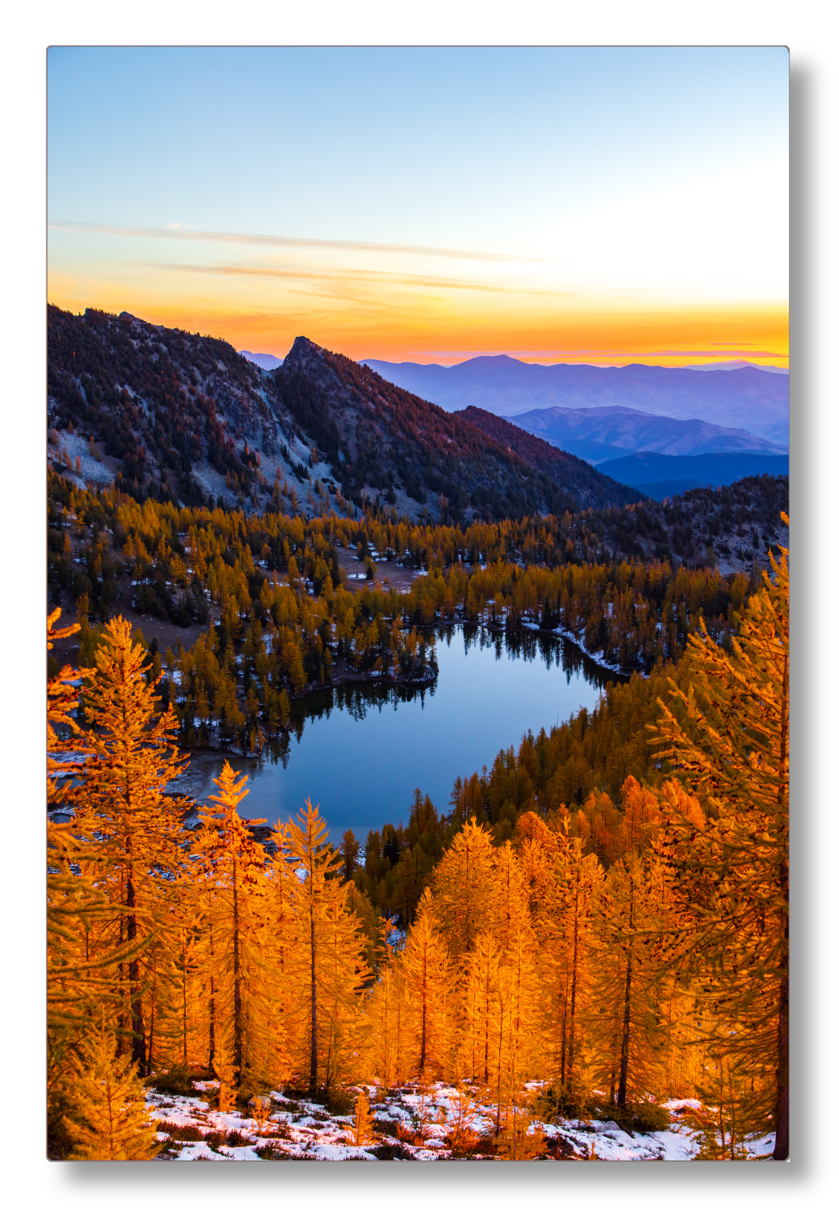 - Larch Haven -