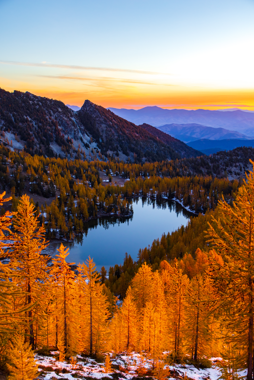 - Larch Haven -