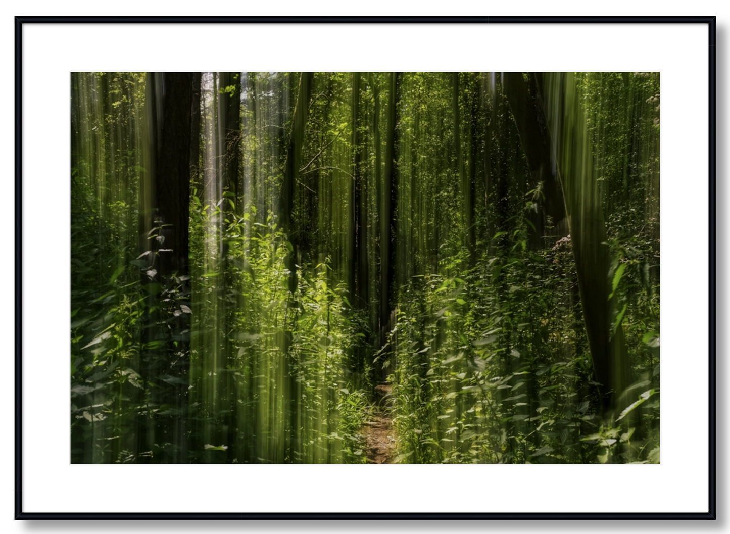 Obscured Path
