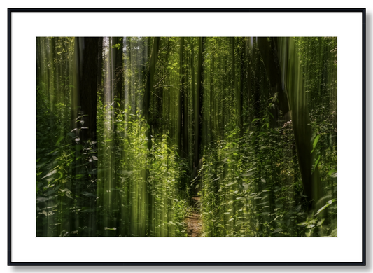 Obscured Path