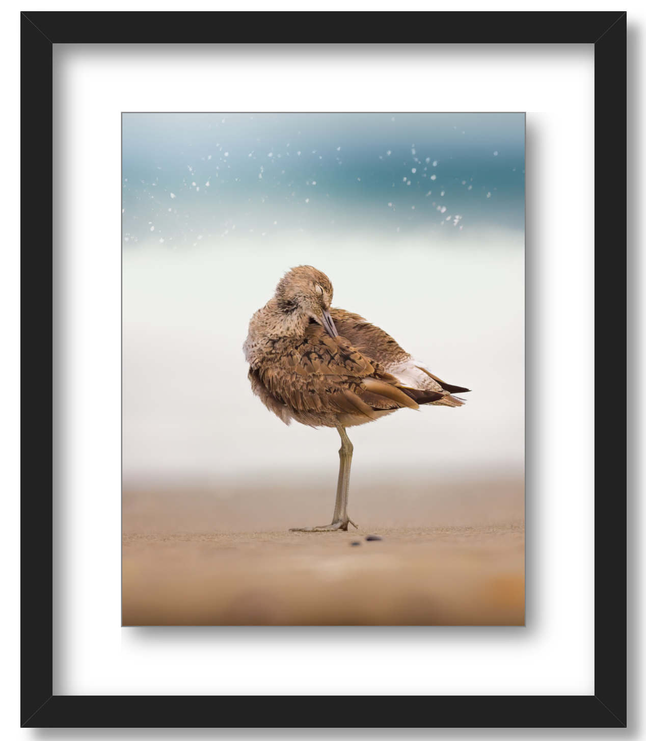 Peaceful Preening