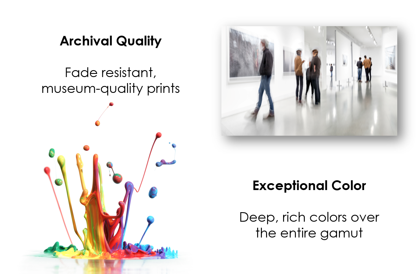 'Perched Crow'