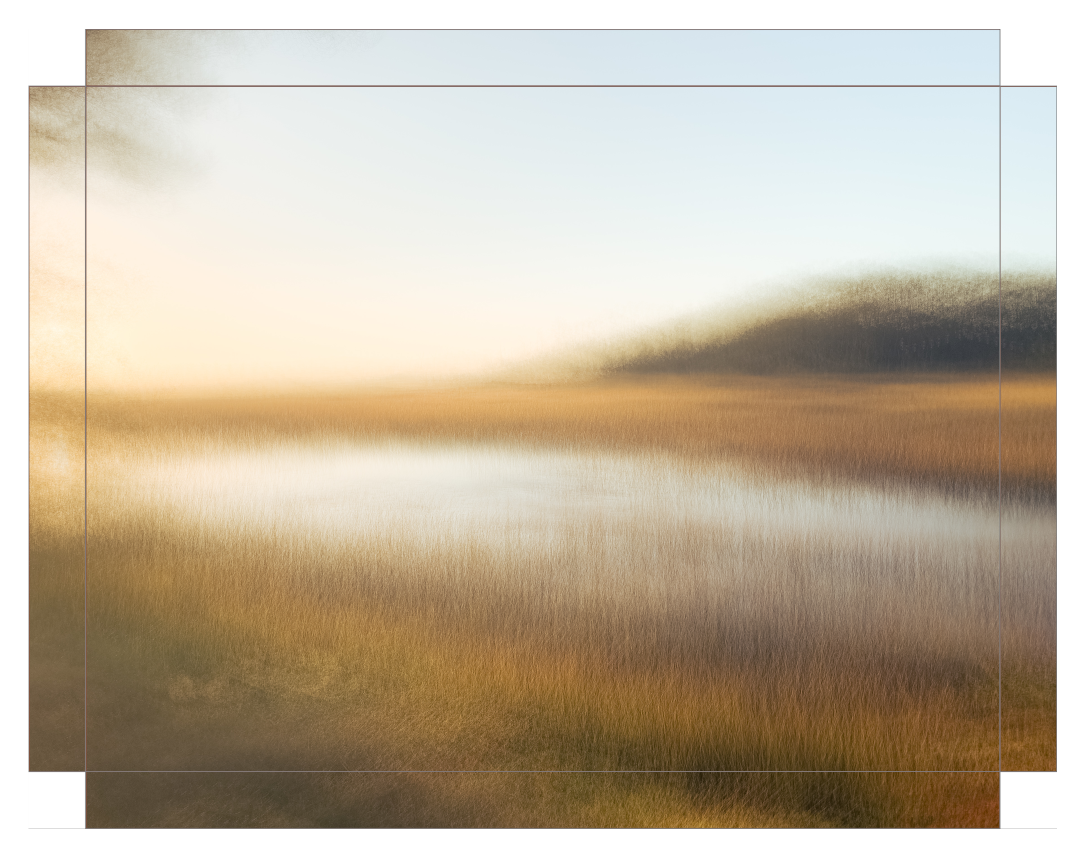 Reeds of Gold