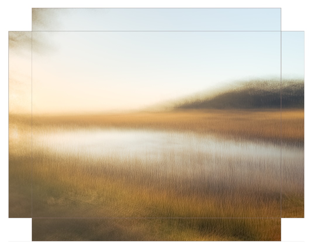 Reeds of Gold