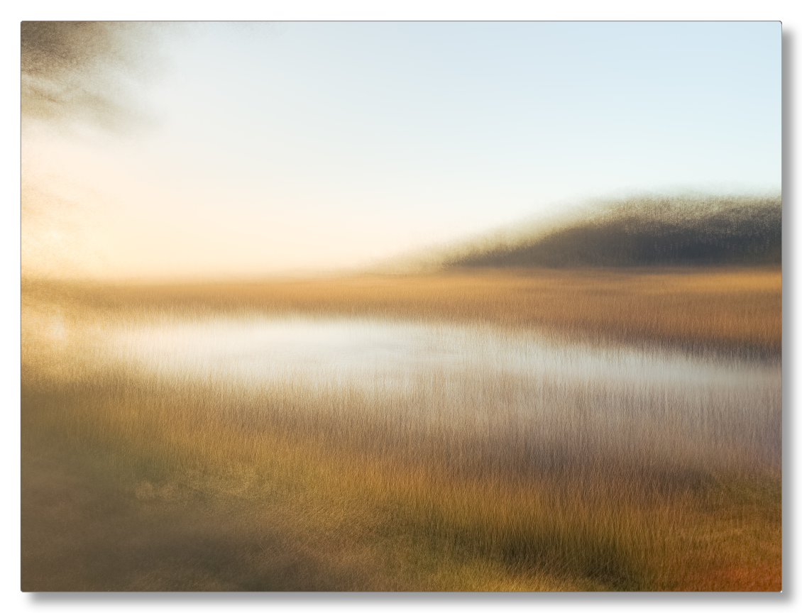 Reeds of Gold