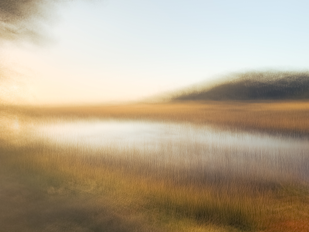 Reeds of Gold